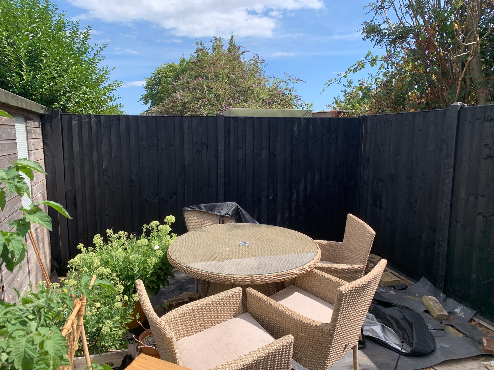 Second view of a Saxmundham garden fence before and after painting black (after)