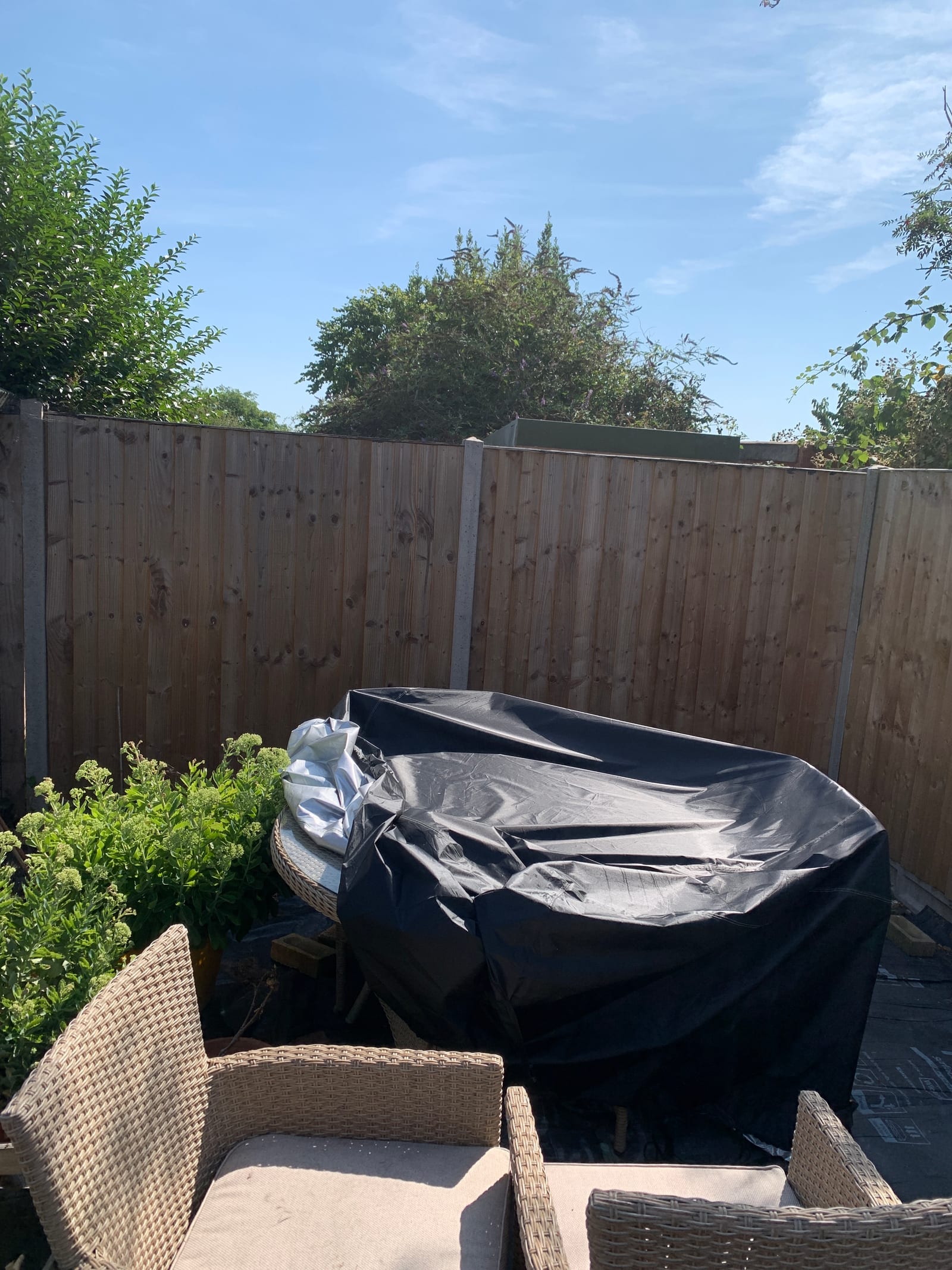 Second view of a Saxmundham garden fence before and after painting black (before)