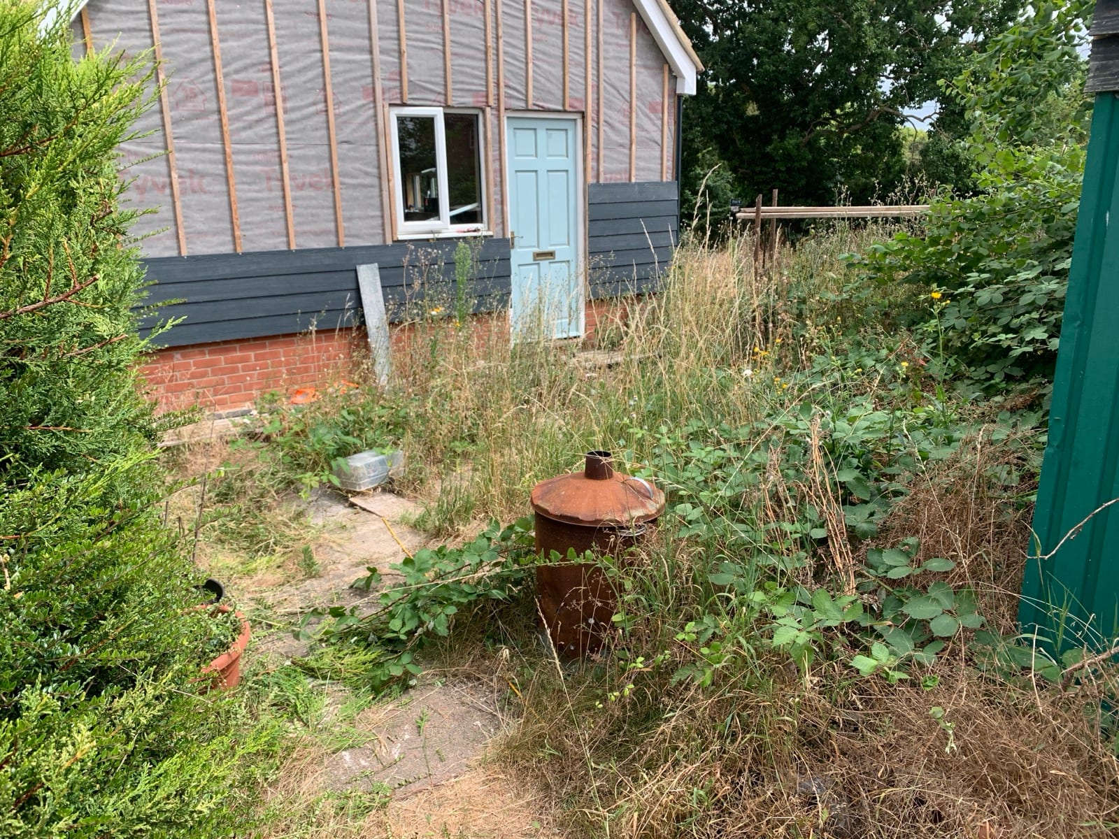 Overgrown back garden in Kelsale by the back door, before and after clearing (before)