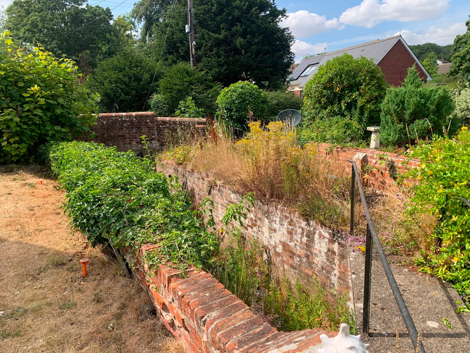 Overgrown brick-walled garden bed in Kelsale, before and after clearing the ivy and weeds (before)